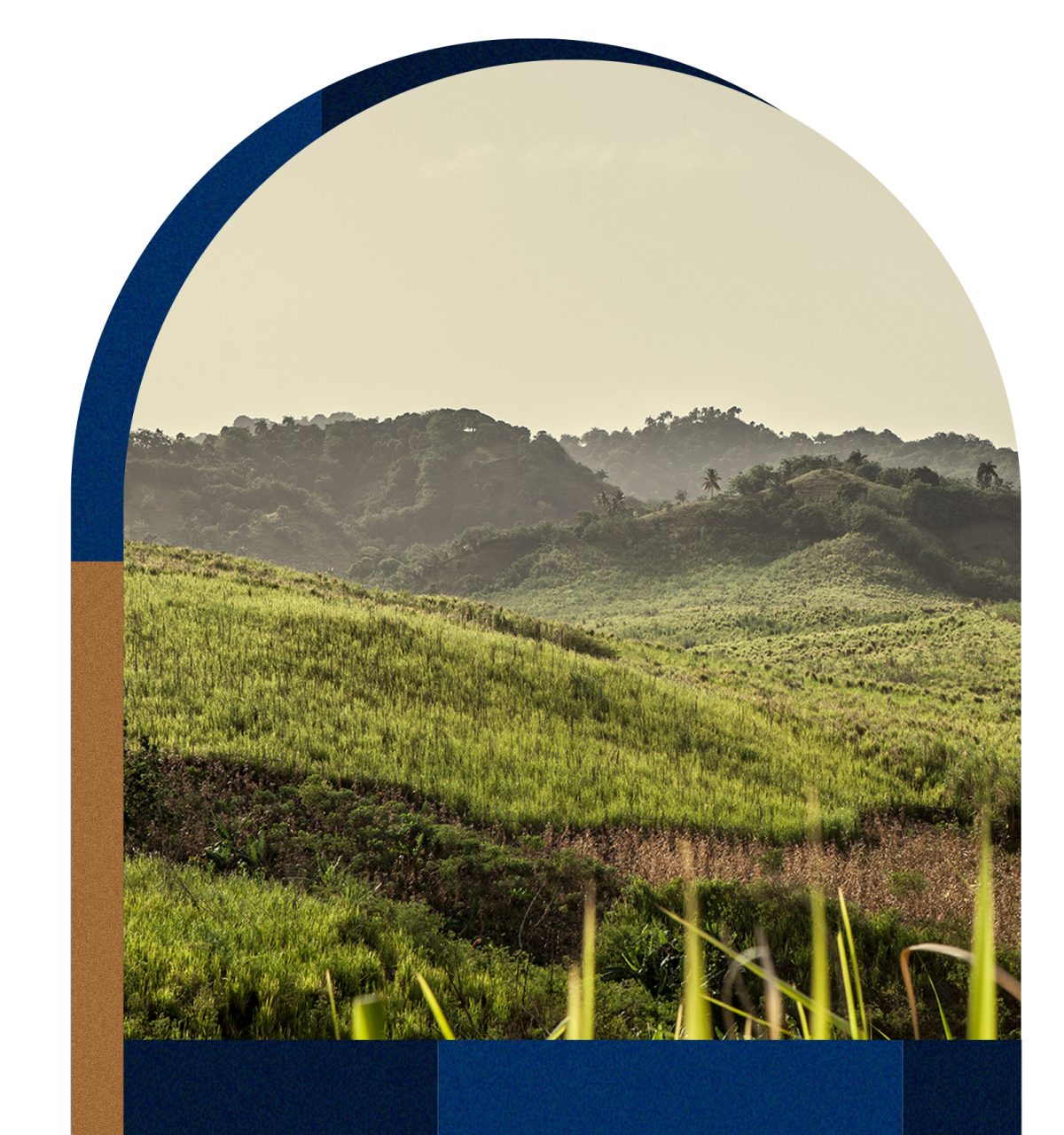 landscape_arch