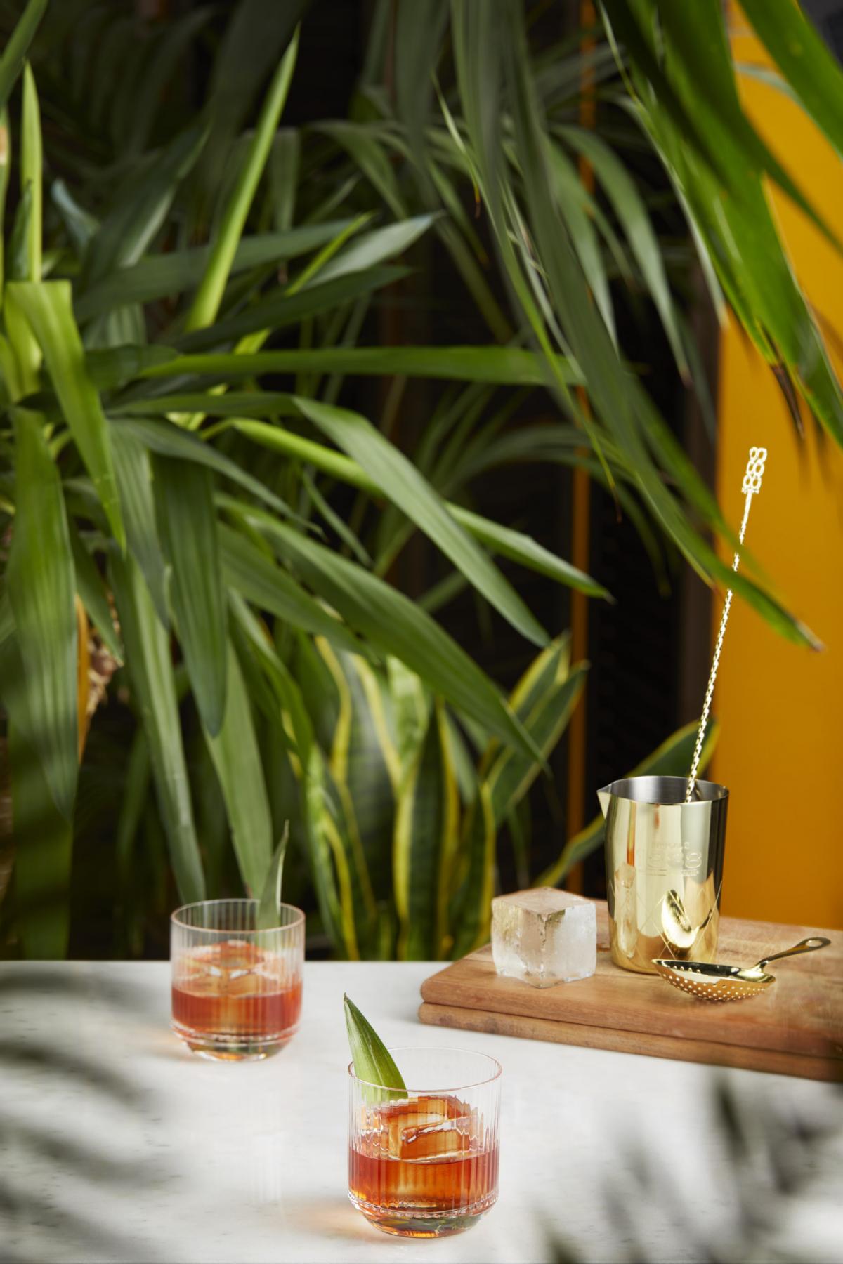 Two Jungle negroni cocktails beside cocktail making kit