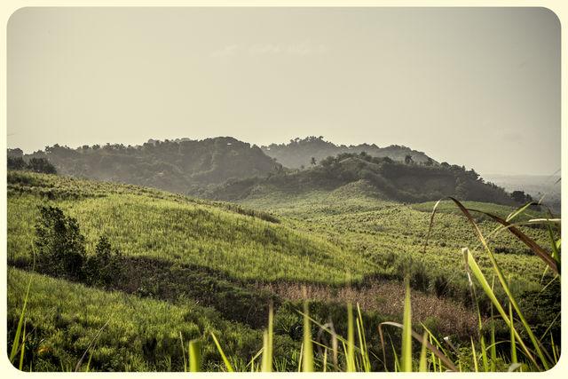 Dominican Republic countryside