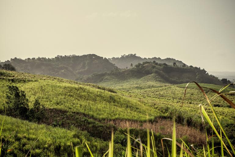 Dominican Republic Countryside 
